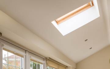 Bintree conservatory roof insulation companies