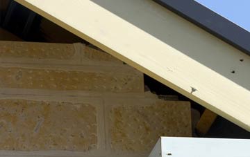 soffit repair Bintree
